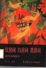 红房间 白房间 黑房间:探索戏剧选萃