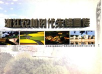 浙江农村时代先锋画传