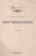 知识产权侵权责任研究
