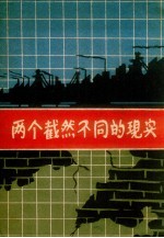 两个截然不同的现实