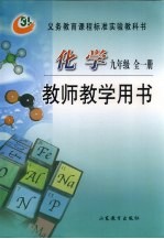 化学 教师教学用书 九年级(全一册)