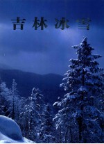 吉林冰雪