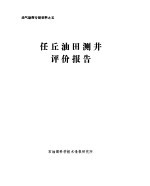 任岳油田测井评价报告