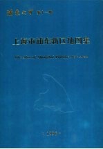 上海市浦东新区地图集 浦东之窗第11册