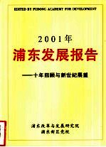 2001年浦东发展报告-十年回顾与新世纪展望