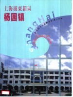 上海浦东新区 杨园镇
