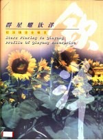 群星耀钦洋 钦洋镇企业概览