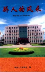 骄人的风采 梅县各级人大代表风采录
