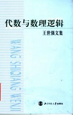 代数与数理逻辑 王世强文集