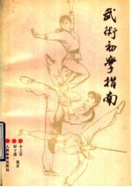 武术初学指南