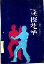 上乘梅花拳