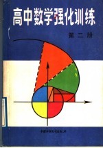 高中数学强化训练 第2册