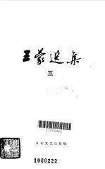 王蒙选集 3