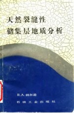 天然裂缝性储集层地质分析