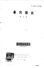 暴风骤雨