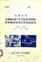 东濮凹陷文留地区盐下含气层系 沙四段 砂体微相及成岩作用的研究