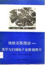 铸铁石墨图谱 光学与扫描电子显微镜照片