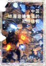 中国碎屑岩储集层的孔隙结构