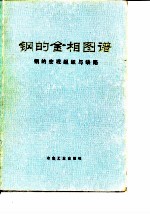 钢的金相图谱 钢的宏观组织与缺陷
