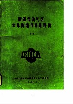 新疆含油气区大地构造与远景评价
