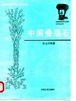 中国叠层石