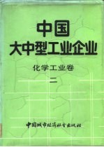 中国大中型工业企业 化学工业卷 2