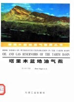 塔里木盆地油气藏