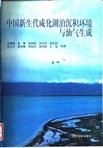 中国新生代咸化湖泊沉积环境与油气生成