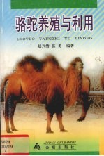 骆驼养殖与利用