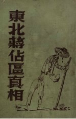 东北蒋占区真相