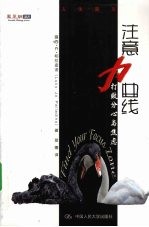 注意力曲线 打败分心与焦虑 人生魔方