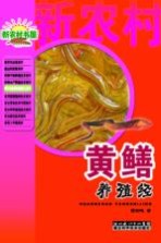 黄鳝养殖经