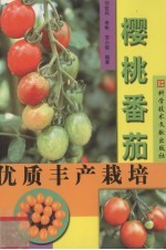 樱桃番茄优质丰产栽培