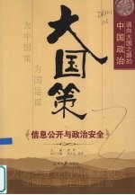 大国策 通向大国之路的中国政治 信息公开与政治安全