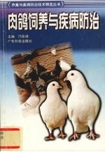 肉鸽饲养与疾病防治