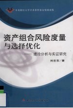 资产组合风险度量与选择优化 理论分析与实证研究