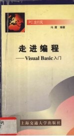 走进编程 Visual Basic入门