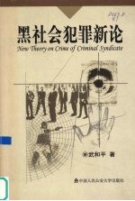 黑社会犯罪新论