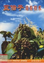 五倍子培育技术