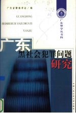 广东黑社会犯罪问题研究