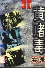 中国黄赌毒实录 上