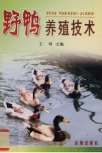 野鸭养殖技术