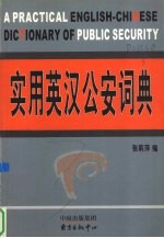 实用英汉公安词典