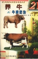 养牛与牛病防治