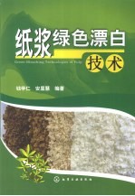 纸浆绿色漂白技术