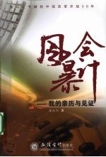 会计风暴:我的亲历与见证