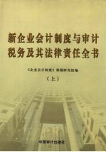 新企业会计制度与审计、税务及其法律责任实务全书 上
