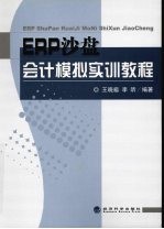 ERP沙盘会计模拟实训教程