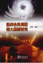 温州台风倒槽特大暴雨研究