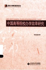 中国高等院校办学效率研究
